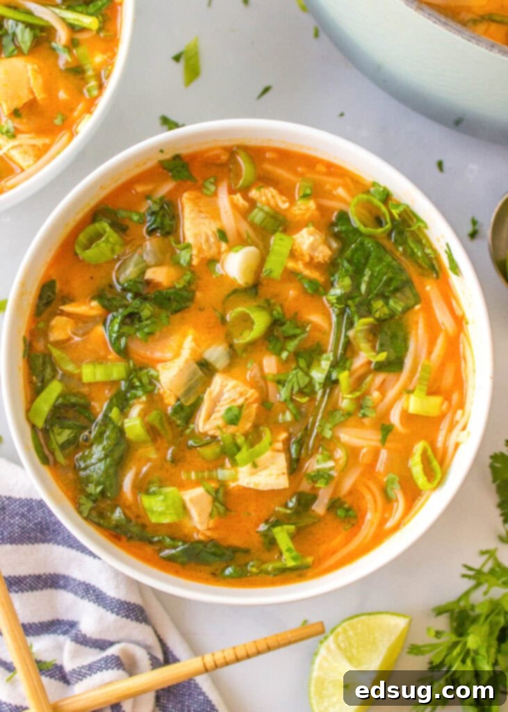 Fragrant Thai Red Curry Soup 6 A bowl of chicken curry soup with chopsticks removing noodles.