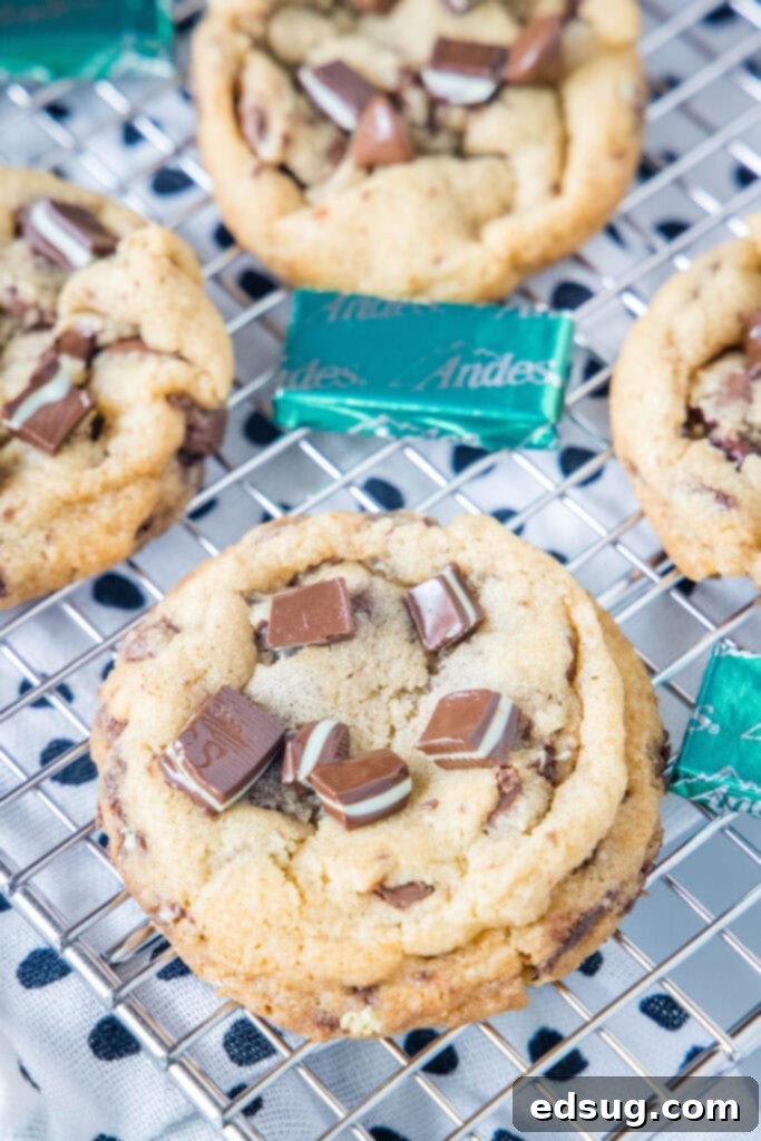 Freshly baked mint chocolate chip cookies cooling on a wire rack, ready to be enjoyed.