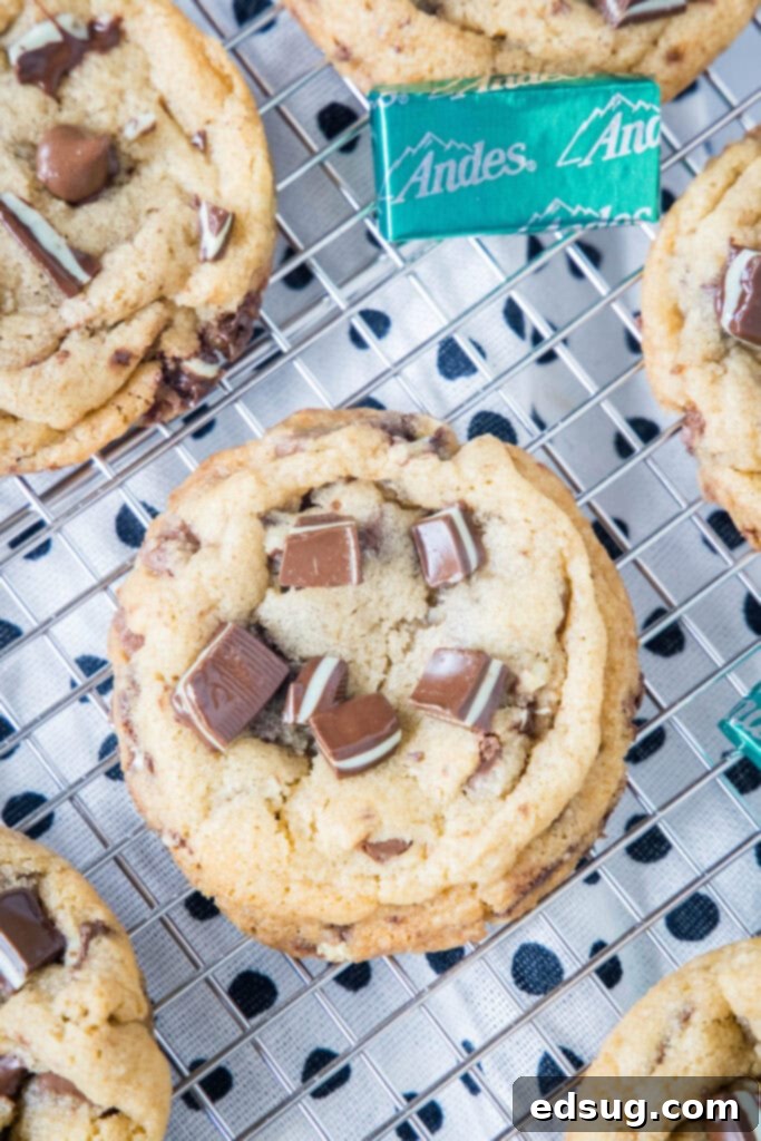Close-up view of freshly baked mint chocolate chip cookies cooling on a wire rack.