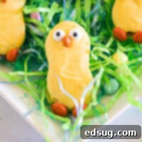 Peanut Butter Chick Delights 8 cropped close up nutter butter chick sitting in easter grass