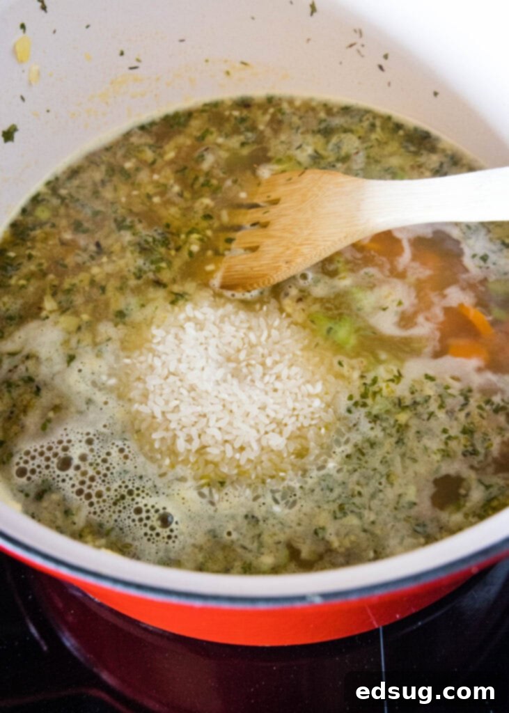 Adding Rice to the Chicken Soup: The Heart of the Meal. Uncooked long-grain white rice being stirred into the simmering chicken broth and vegetable mixture in a large pot.