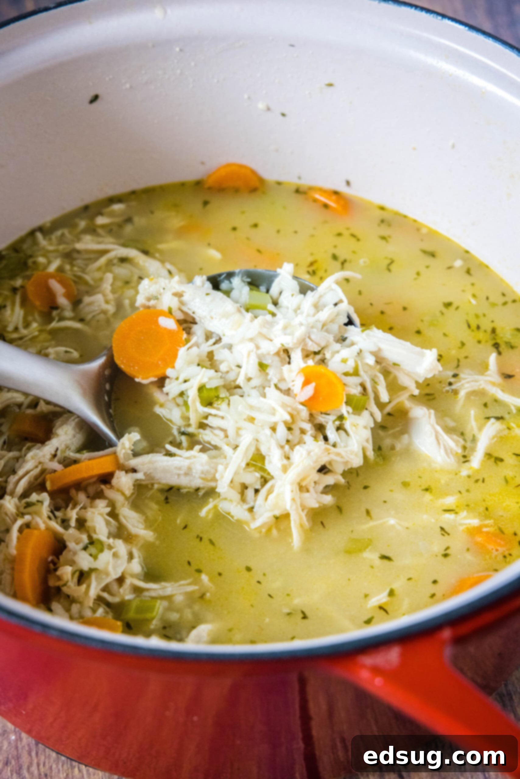 Serving Warm Chicken Rice Soup. A serving ladle gently scooping rich chicken rice soup from a large pot, showing the tender chicken, rice, and vegetables.
