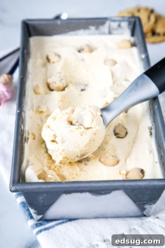 Homemade cookie dough ice cream in a container with a scoop on top, ready to serve.