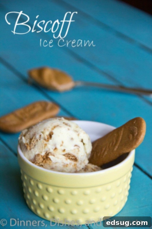 Decadent Biscoff Cookie Butter Ice Cream 2 A scoop of homemade Biscoff Cookie Butter Ice Cream in a bowl, showing swirls of cookie butter and crushed cookies.
