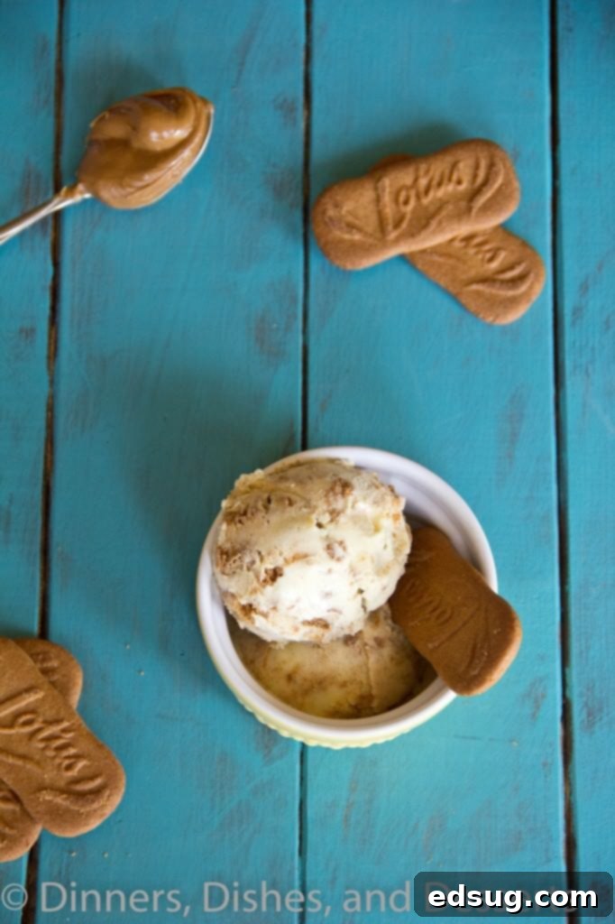 Biscoff Ice Cream A close-up shot of creamy Biscoff ice cream with visible cookie chunks and swirls in a serving bowl.