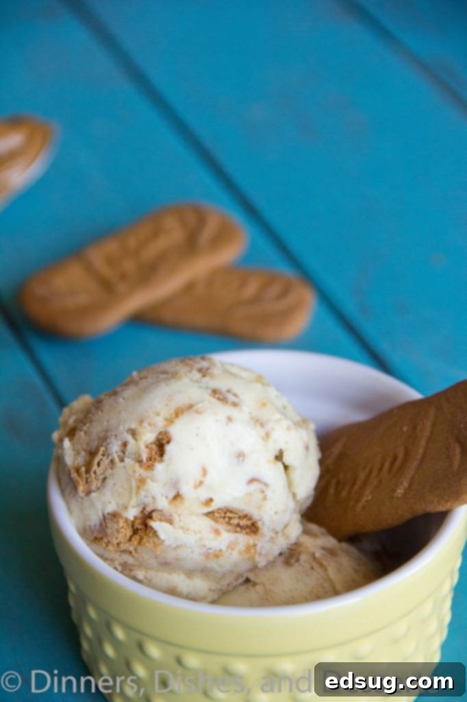 Biscoff Ice Cream A serving of Biscoff ice cream with rich swirls and crunchy cookie pieces, ready to be enjoyed.