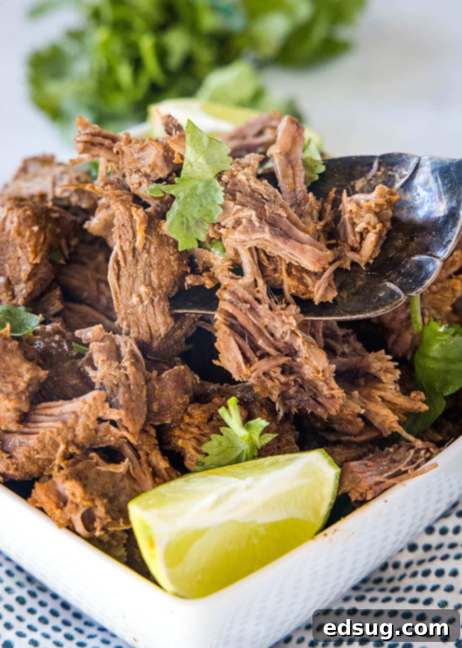 Smoky, juicy Mexican shredded beef is easy to make in the Instant Pot or Crock Pot! Perfect in tacos, enchiladas, or served over rice. A serving spoon lifting Mexican shredded beef from a square bowl of beef garnished with cilantro and a lime wedge.
