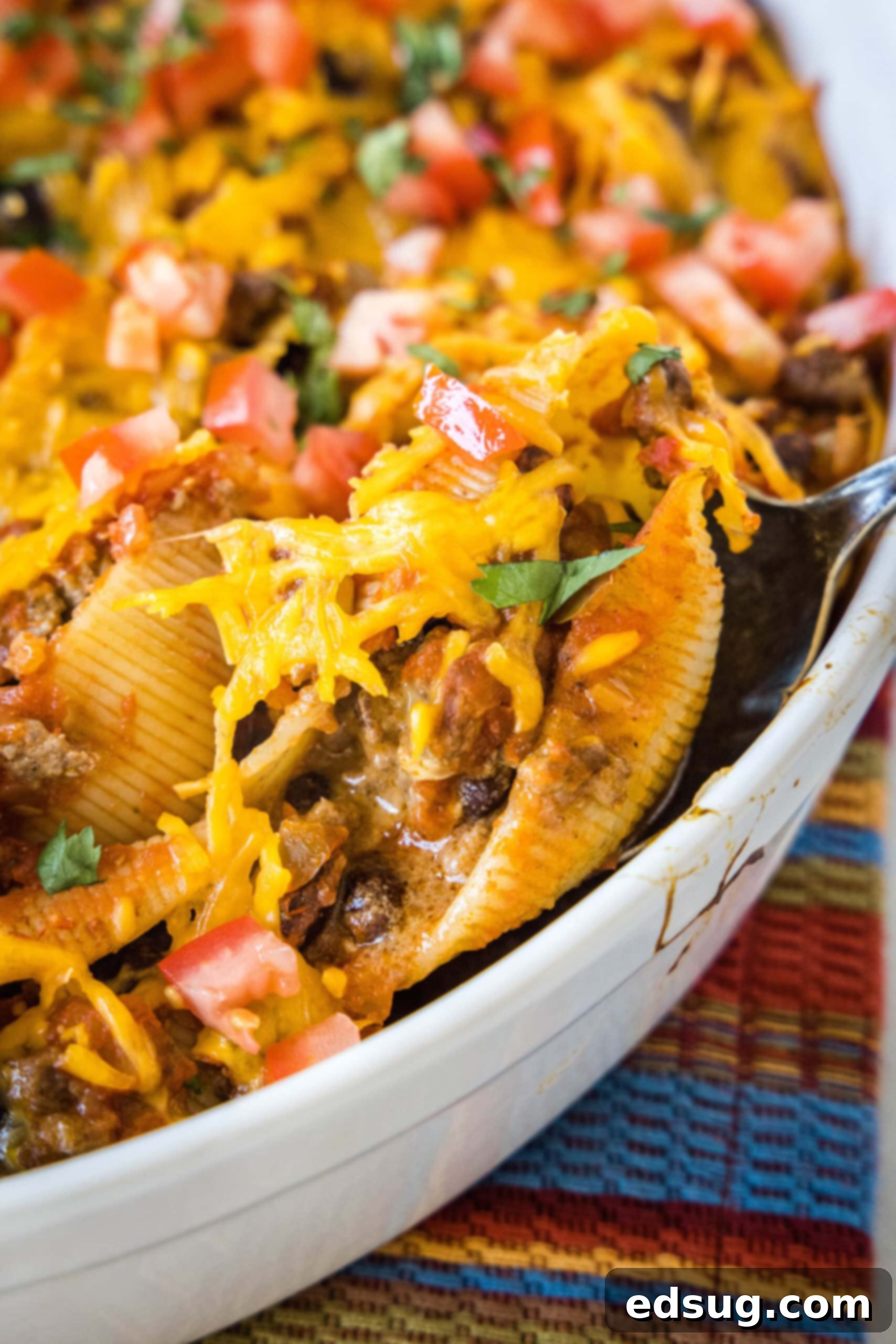 Cheesy taco stuffed shells are an easy Tex-Mex dinner made from jumbo pasta shells filled with creamy taco beef, salsa, and melty cheese. Close up of stuffed shells in a baking dish garnished with diced tomatoes and cilantro.