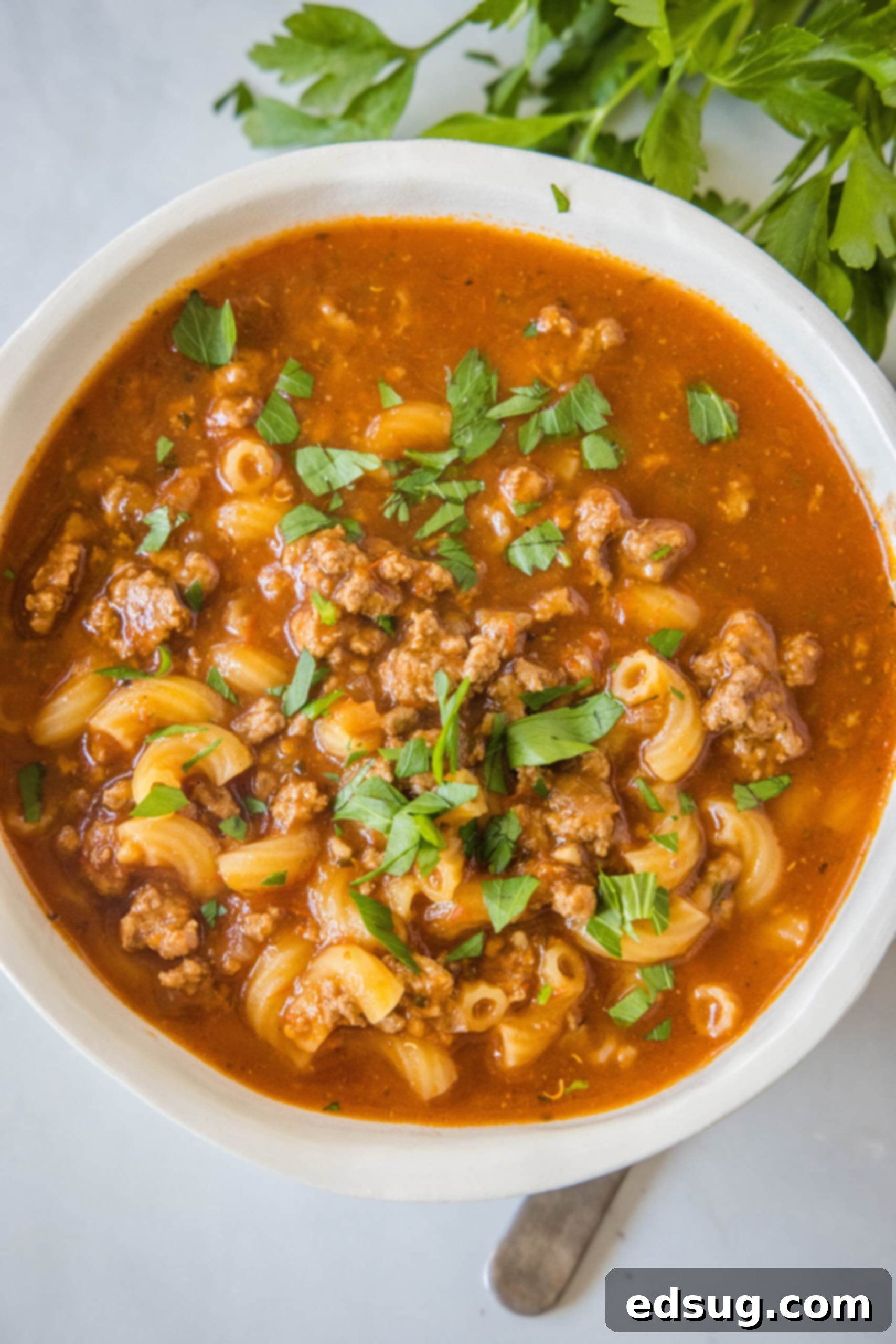 An overhead view of a deliciously prepared bowl of beef macaroni soup, garnished with fresh parsley, highlighting its rich color and hearty texture.