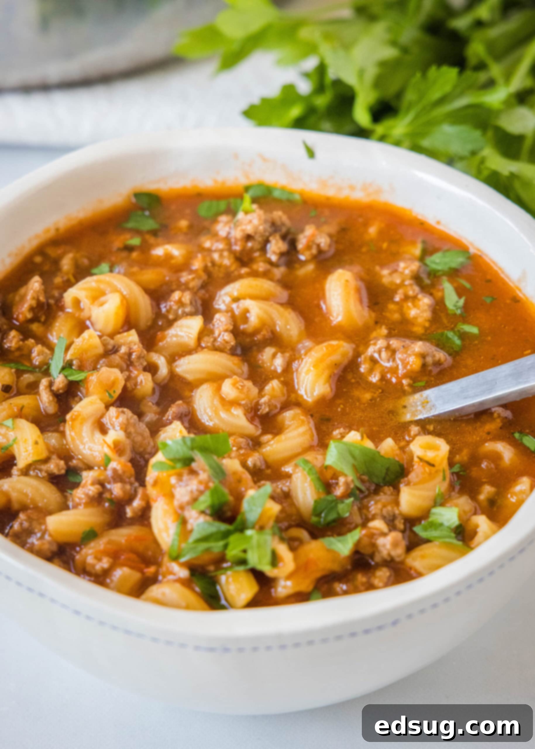 A close-up of a spoon resting inside a bowl of beef macaroni soup, showing the texture of the beef, macaroni, and herbs.