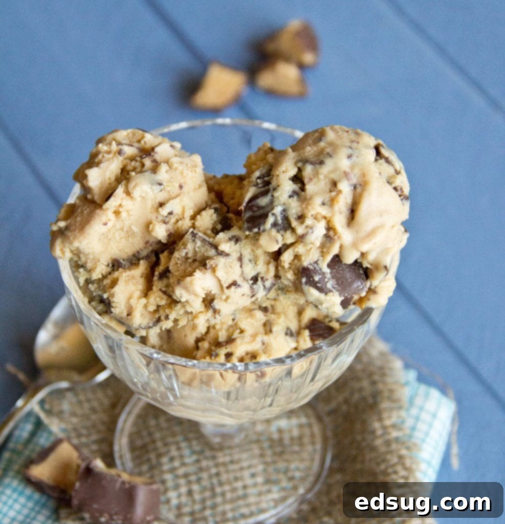 Three scoops of peanut butter lovers ice cream with toppings in a glass bowl, showcasing its creamy texture and mix-ins.