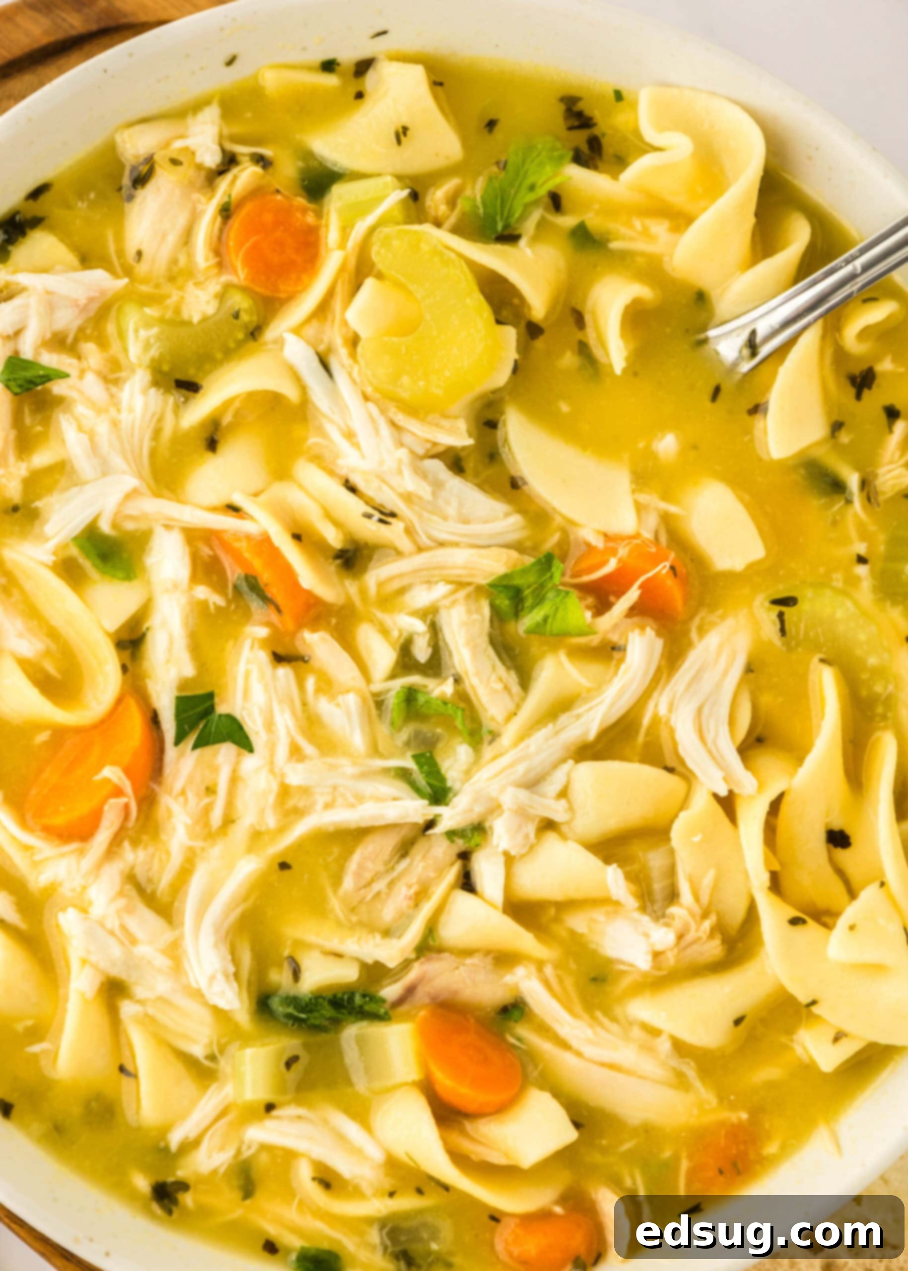 close up bowl of chicken noodle soup