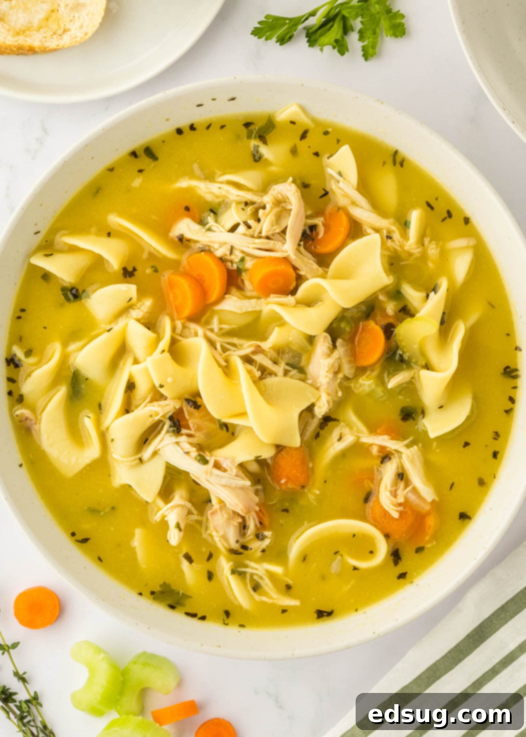 looking down on a bowl of chicken noodle soup