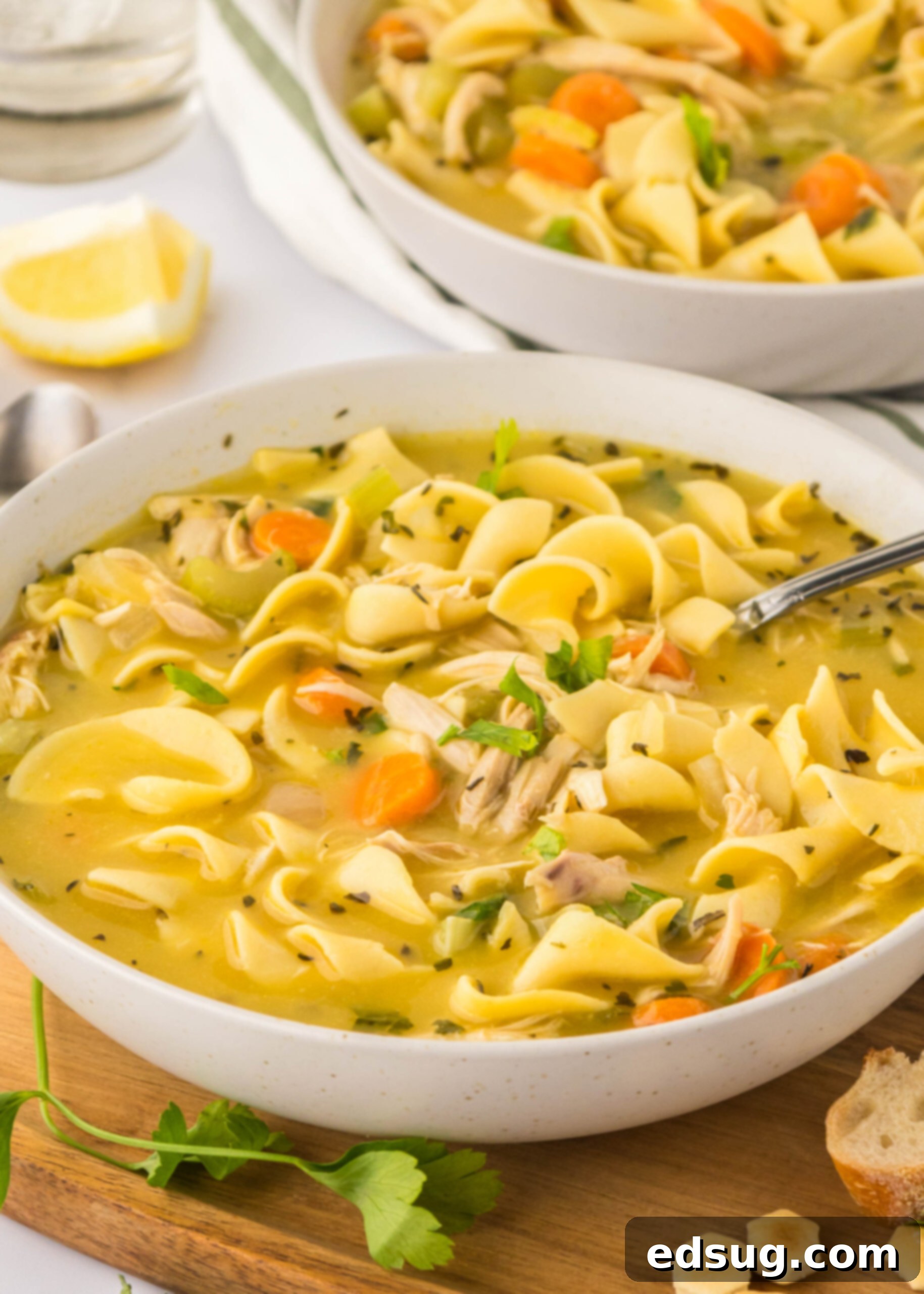 a bowl of chicken noodle soup