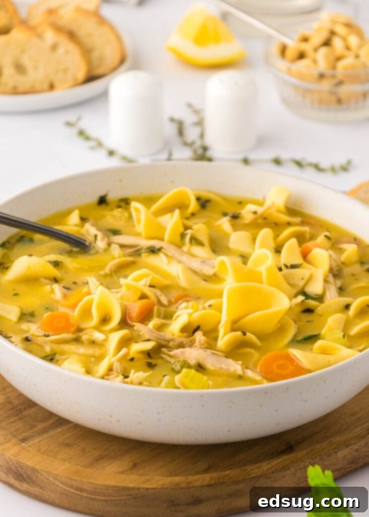 a bowl of chicken noodle soup on a board