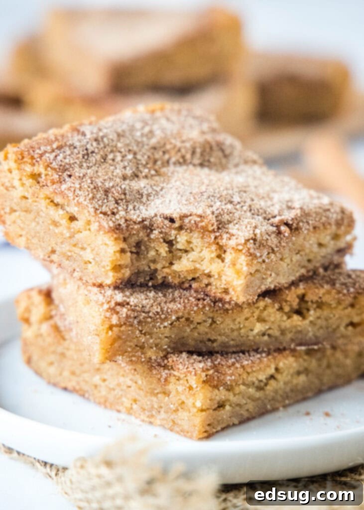 stacked churro bars with a bit missing from one, showcasing their delicious texture
