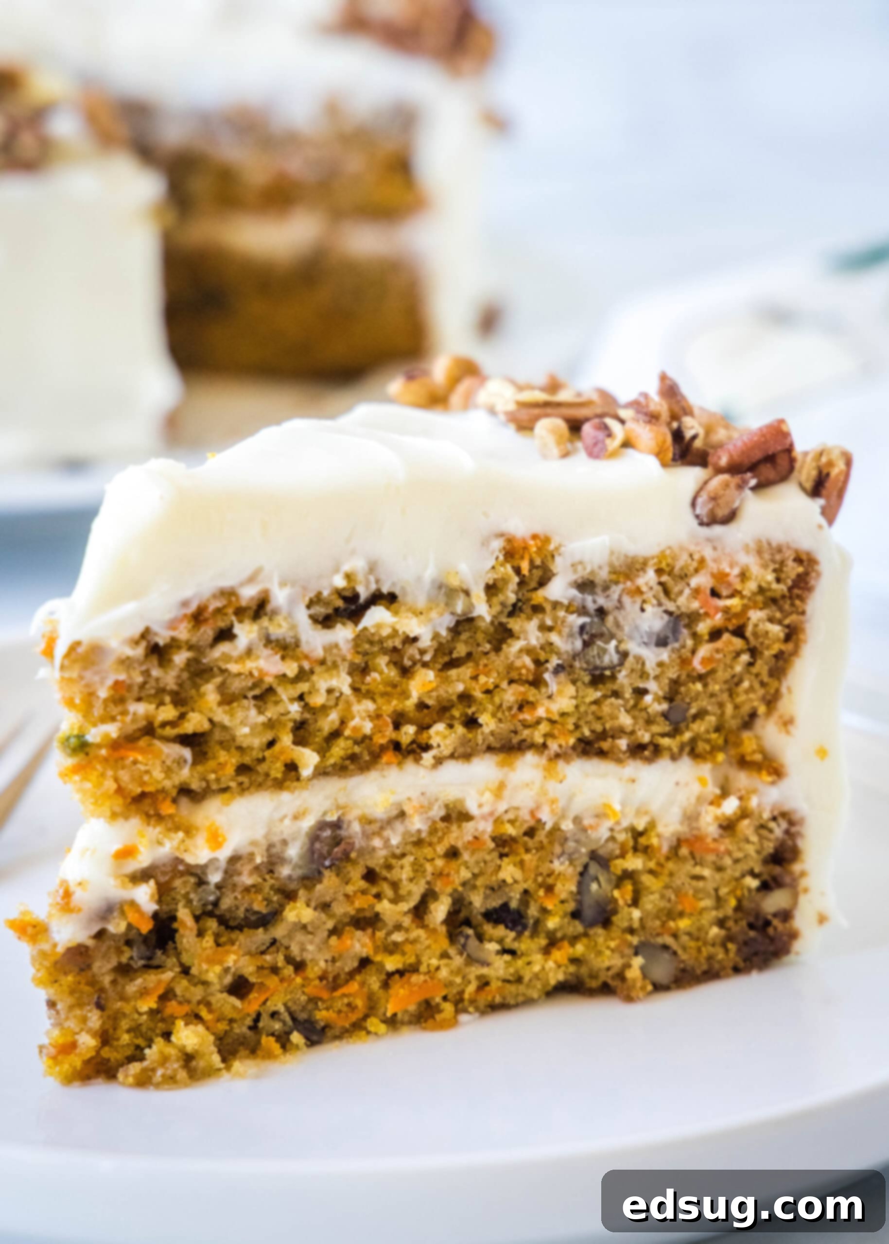 The best homemade carrot cake! Made from moist cake layers loaded with crunchy pecans, filled and frosted with sweet cream cheese frosting. A slice of frosted carrot cake on a white plate.