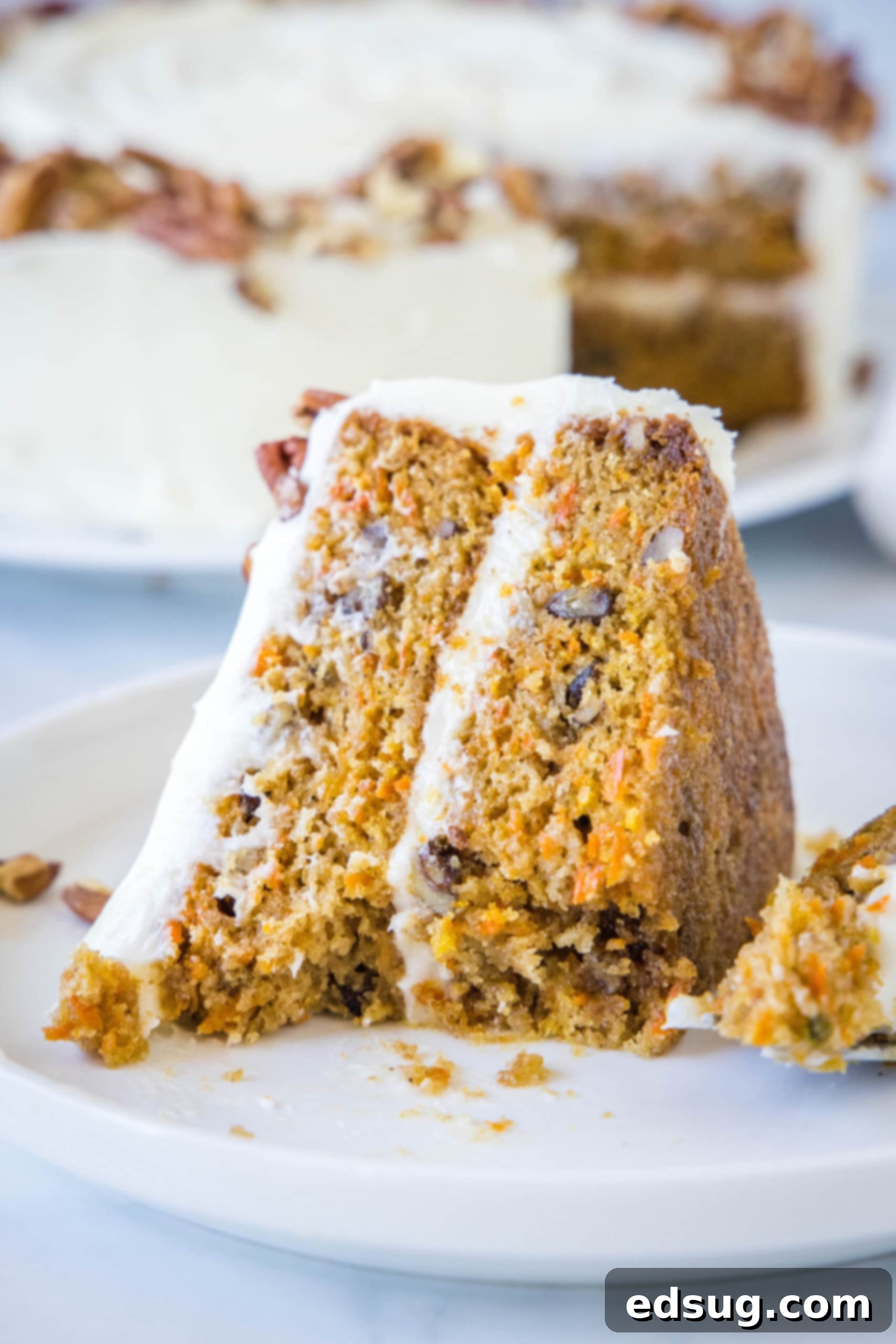 The best homemade carrot cake! Made from moist cake layers loaded with crunchy pecans, filled and frosted with sweet cream cheese frosting. A slice of frosted carrot cake on a white plate with forkfuls missing.