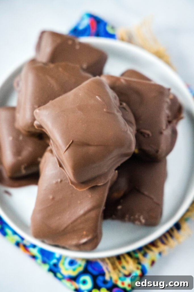 Copycat Milky Way Candy Bars 5 milky way candy on a white plate