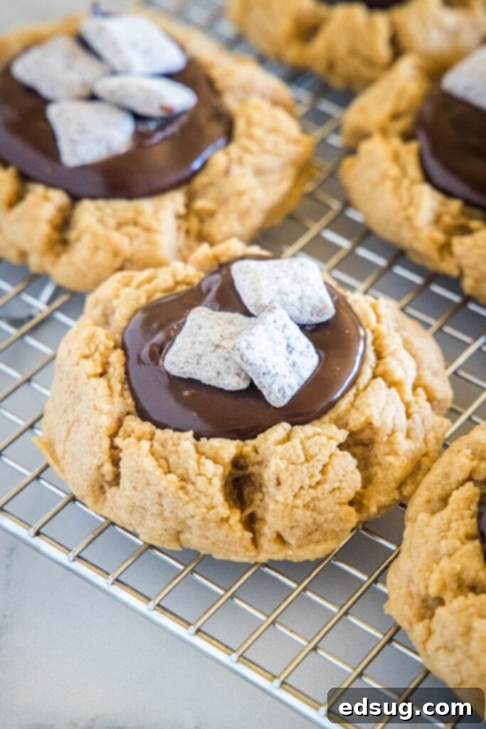 Cocoa Peanut Butter Cloud Cookies 2 Peanut butter chocolate muddy buddy cookies displayed beautifully on a cooling rack, showcasing their rich ganache topping and cereal pieces.