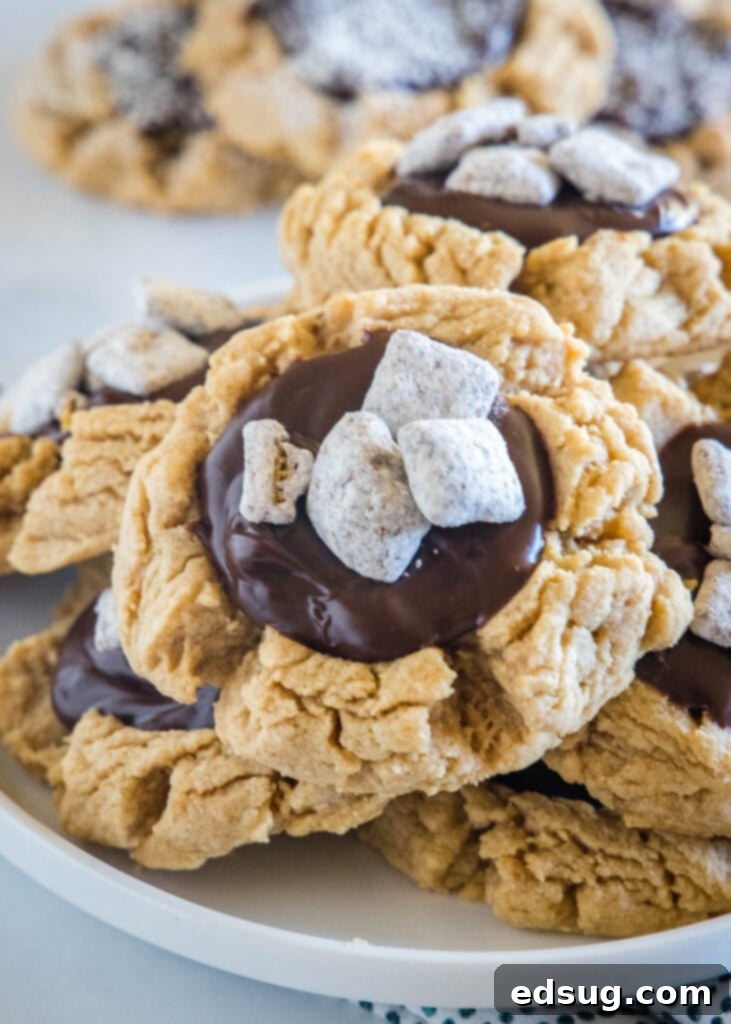Cocoa Peanut Butter Cloud Cookies 5 Beautifully arranged Muddy Buddy Cookies on a plate, ready to be served.