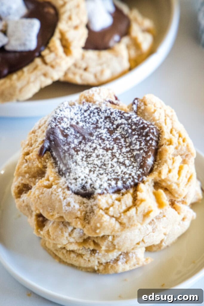 Cocoa Peanut Butter Cloud Cookies 6 Muddy Buddy cookies lightly dusted with powdered sugar as an alternative topping.