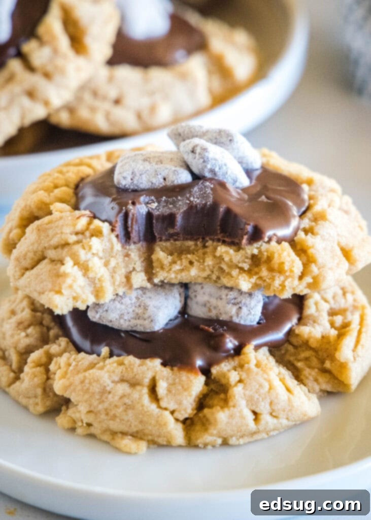 Cocoa Peanut Butter Cloud Cookies 7 Several Muddy Buddy cookies stacked on a plate, with one having a bite taken out, revealing its soft interior.
