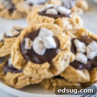 Cocoa Peanut Butter Cloud Cookies 8 cropped close up muddy buddy cookies on a plate