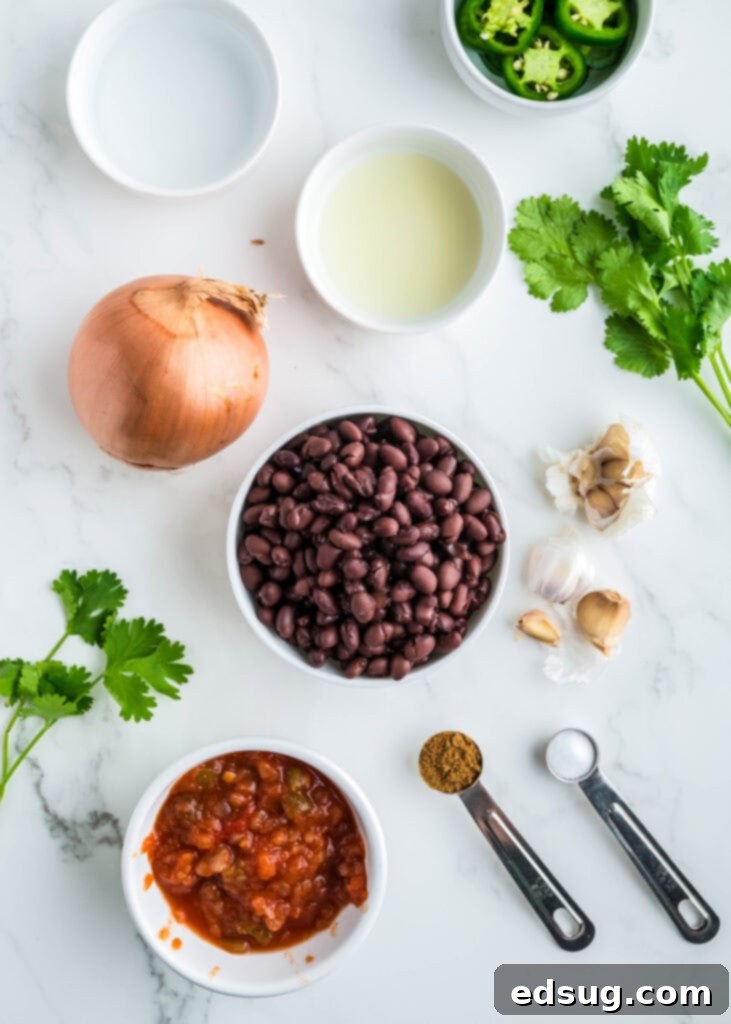 Zesty Black Bean Delight 3 black bean dip ingredients