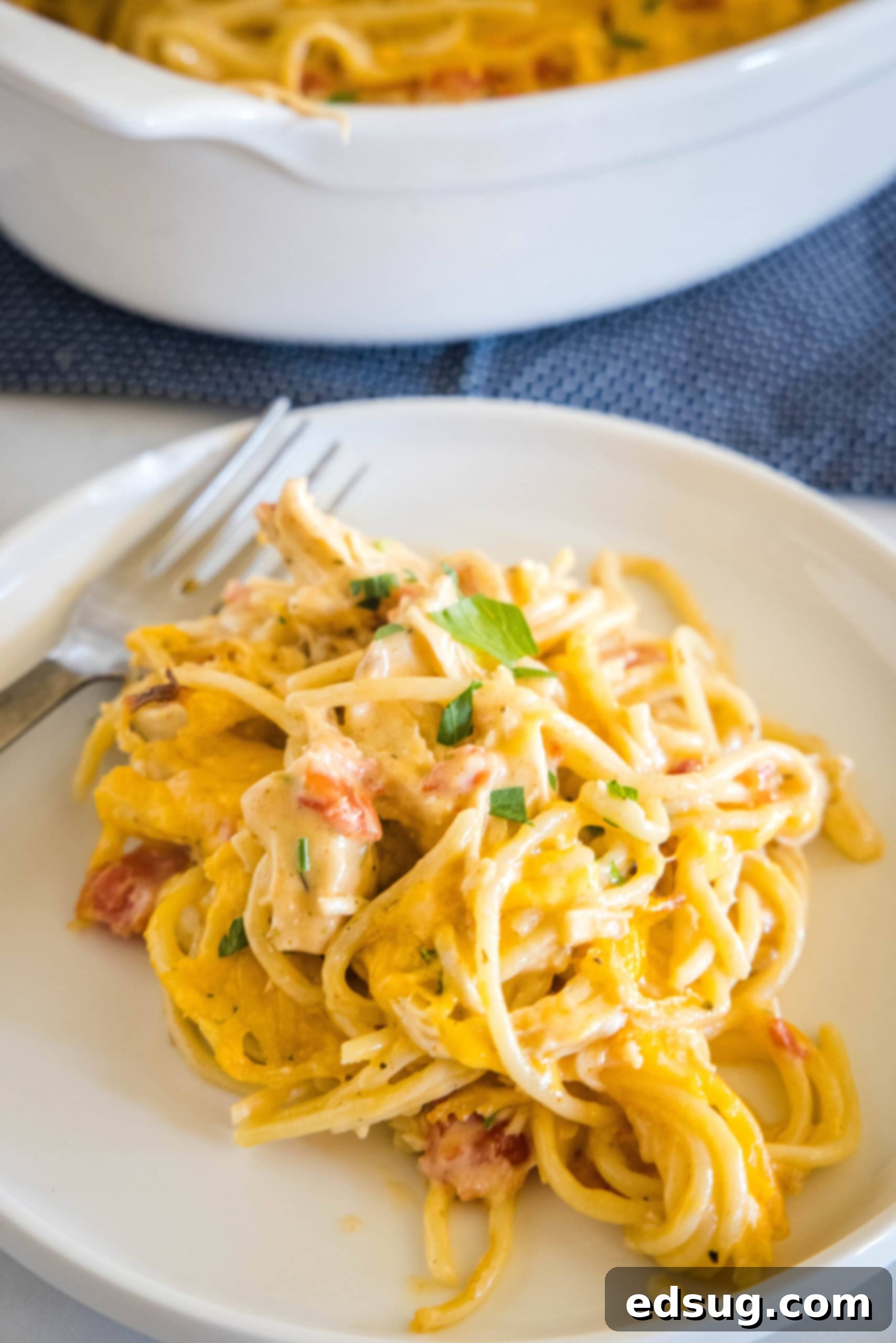 Make this casserole-style cheesy chicken spaghetti with Rotel tomatoes, juicy chicken, and tender pasta baked in a flavorful creamy sauce. A serving of chicken spaghetti on a white plate with a fork, with the rest of the casserole in the background.
