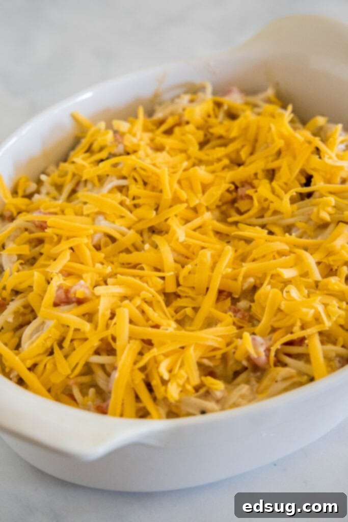 Make this casserole-style cheesy chicken spaghetti with Rotel tomatoes, juicy chicken, and tender pasta baked in a flavorful creamy sauce. Chicken spaghetti covered with shredded cheese in an oval casserole dish.