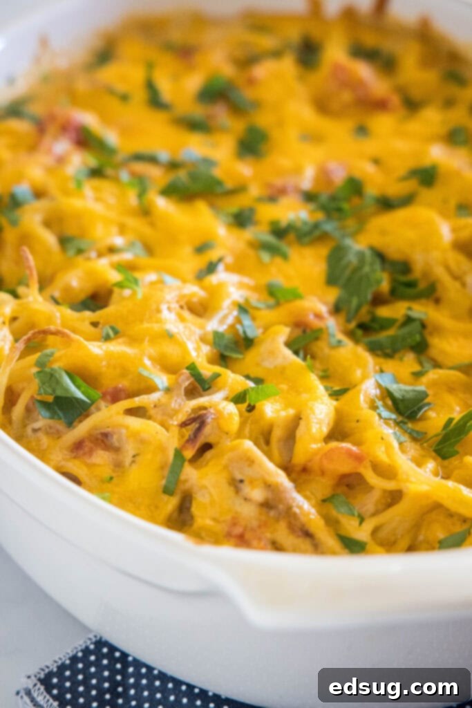 Make this casserole-style cheesy chicken spaghetti with Rotel tomatoes, juicy chicken, and tender pasta baked in a flavorful creamy sauce. Baked chicken spaghetti in an oval casserole dish.