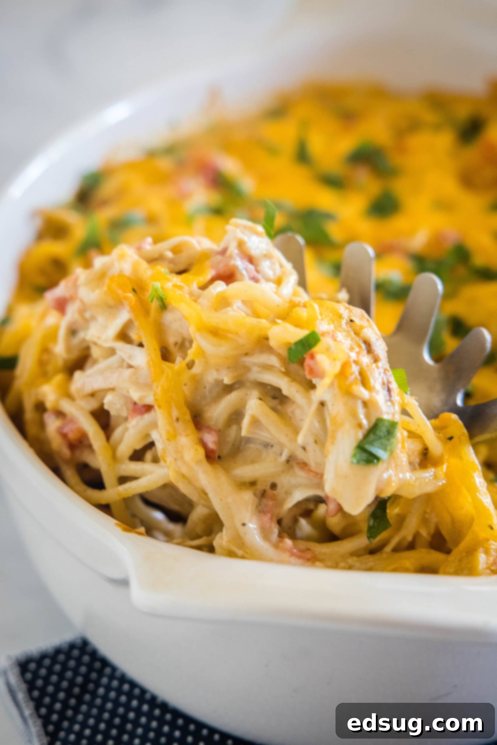 Make this casserole-style cheesy chicken spaghetti with Rotel tomatoes, juicy chicken, and tender pasta baked in a flavorful creamy sauce. A pasta spoon scooping chicken spaghetti from the corner of a casserole dish.