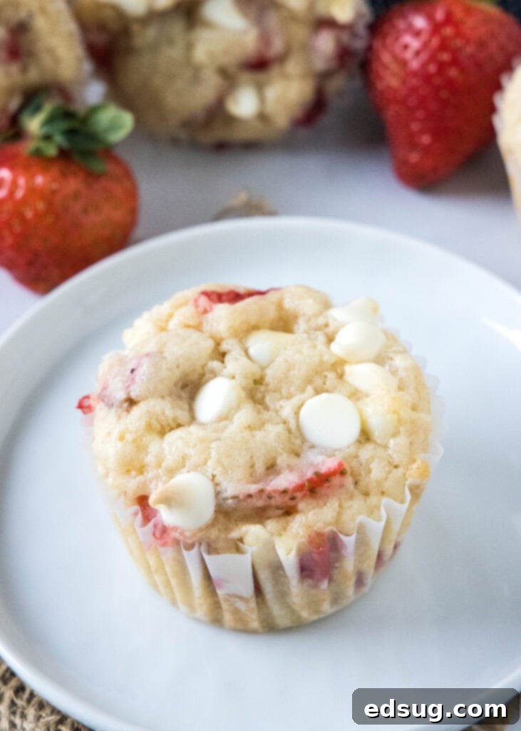 Heavenly Strawberry White Chocolate Chip Muffins 2 strawberry white chocolate chip muffin on a plate