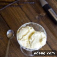 Creamy Vanilla Bean Dream 2 vanilla bean ice cream in a bowl