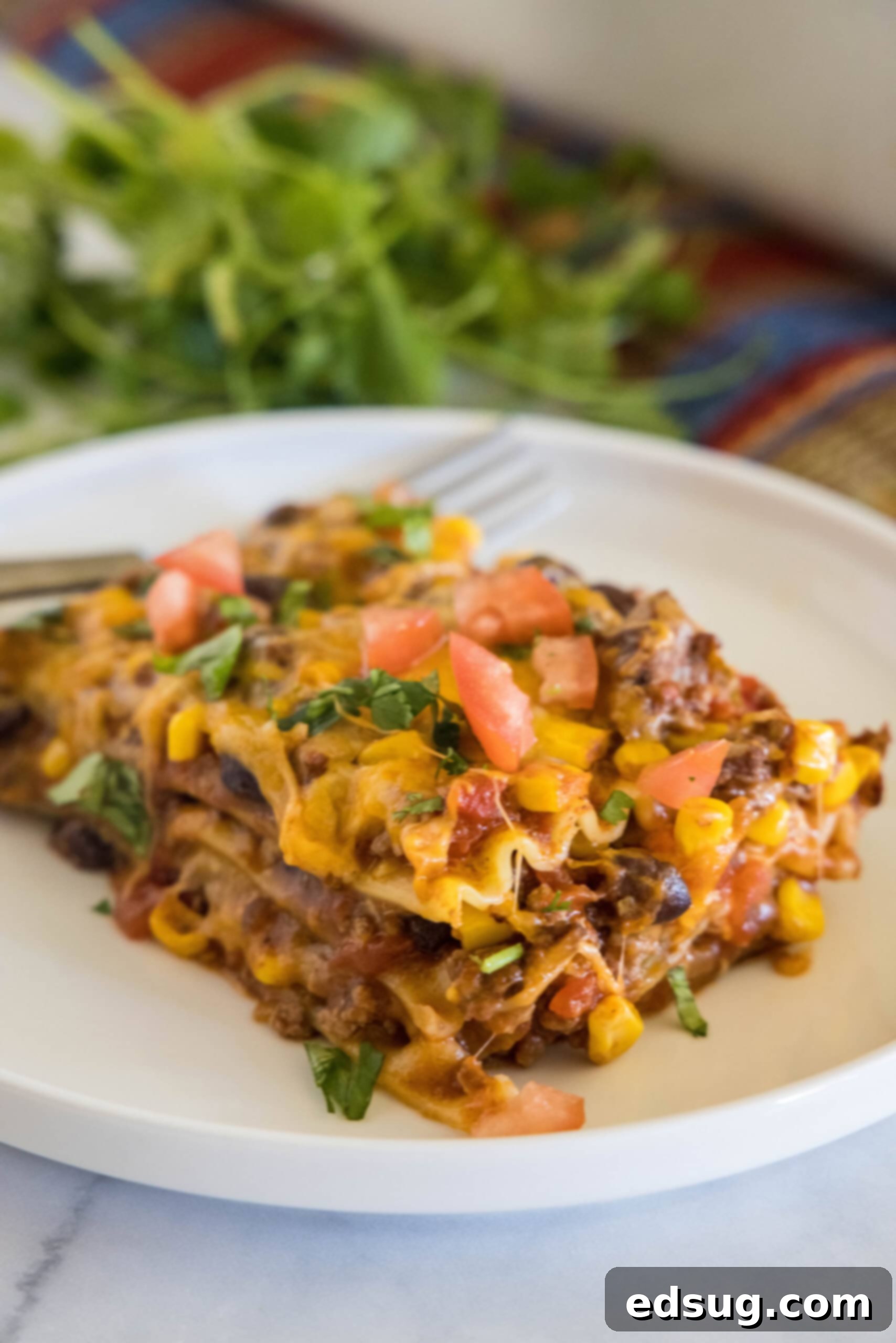 This Mexican lasagna has layers of Tex-Mex flavor, with savory beef, corn, beans, enchilada sauce, and cheese baked between lasagna noodles. A serving of Mexican lasagna on a white plate with a fork in the background. The lasagna features distinct layers of noodles, meat, beans, corn, and melted cheese, garnished with fresh herbs.