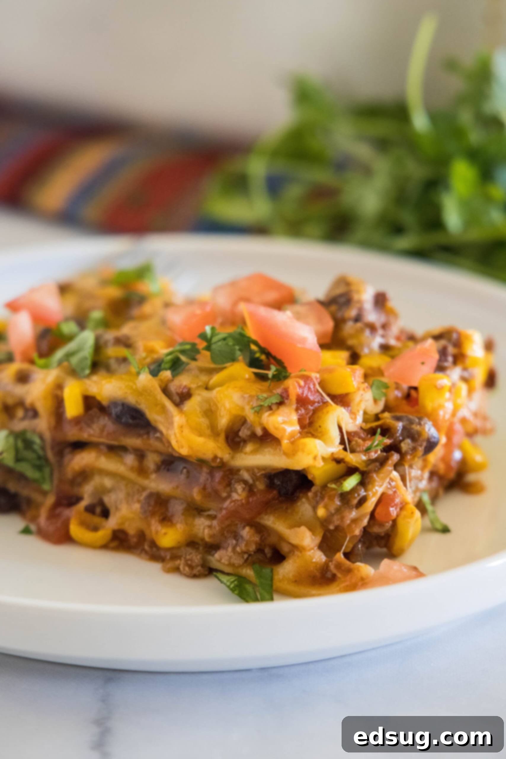 This Mexican lasagna has layers of Tex-Mex flavor, with savory beef, corn, beans, enchilada sauce, and cheese baked between lasagna noodles. A neatly plated serving of Mexican lasagna, showcasing its layers and melted cheese, on a white plate with a fork nearby.