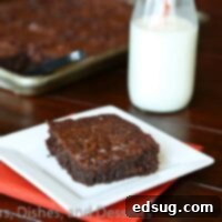 Legendary Brownies 2 outrageous brownies on a plate