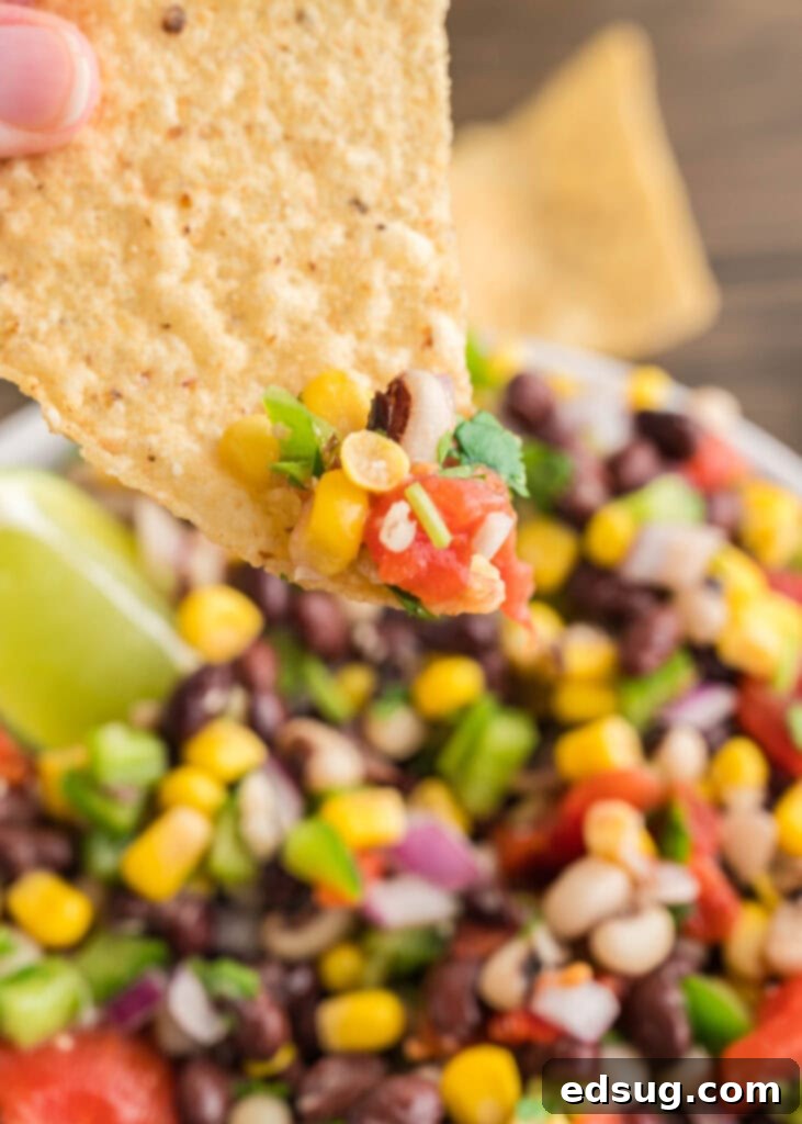 Texas Caviar 5 A spoonful of Cowboy Caviar perfectly scooped onto a crispy tortilla chip.