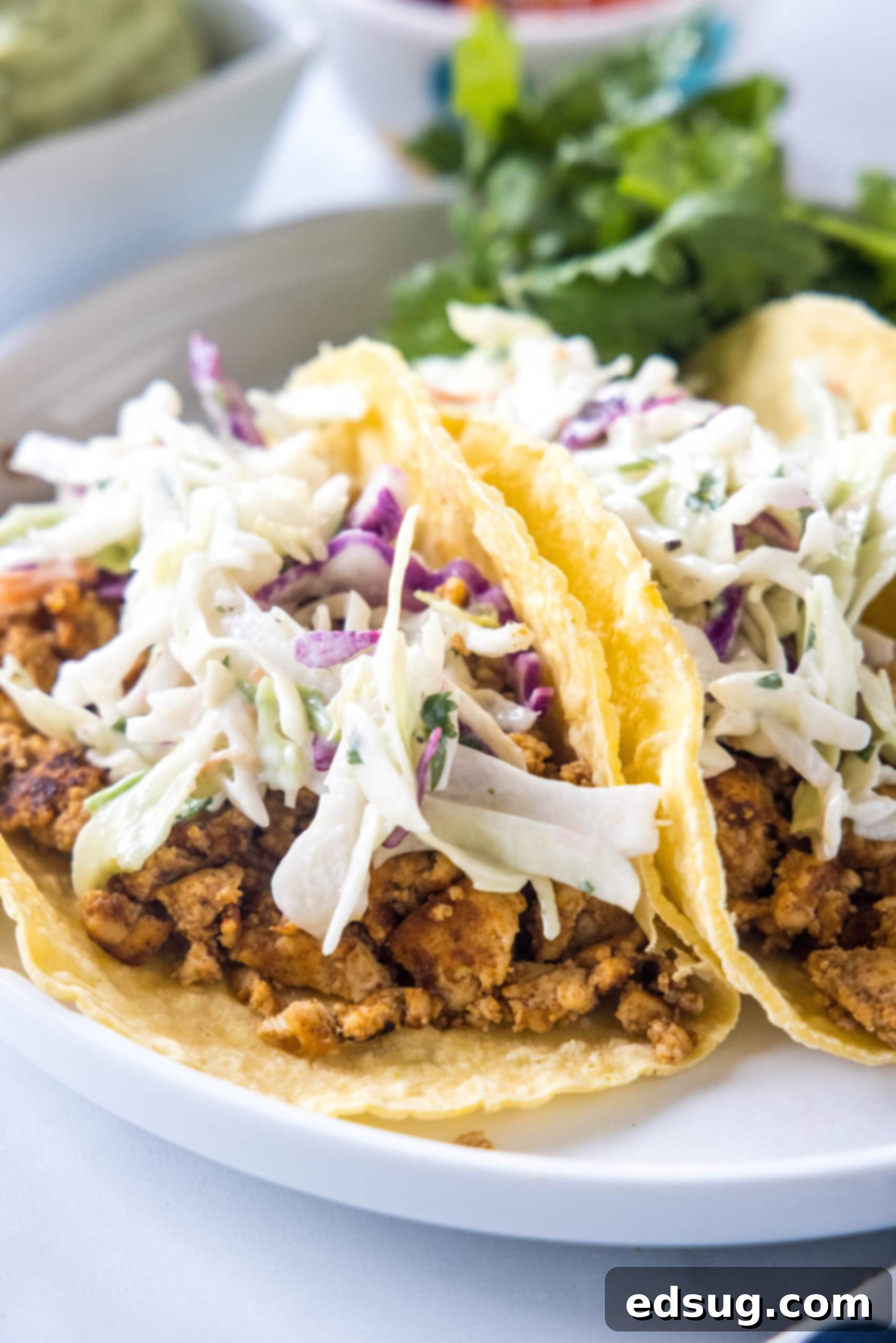 Tofu tacos are a high-protein plant-based dinner, ready in under an hour! Made with crispy tofu taco filling and creamy Mexican coleslaw. Two tofu tacos topped with Mexican coleslaw and avocado cream on a white plate.