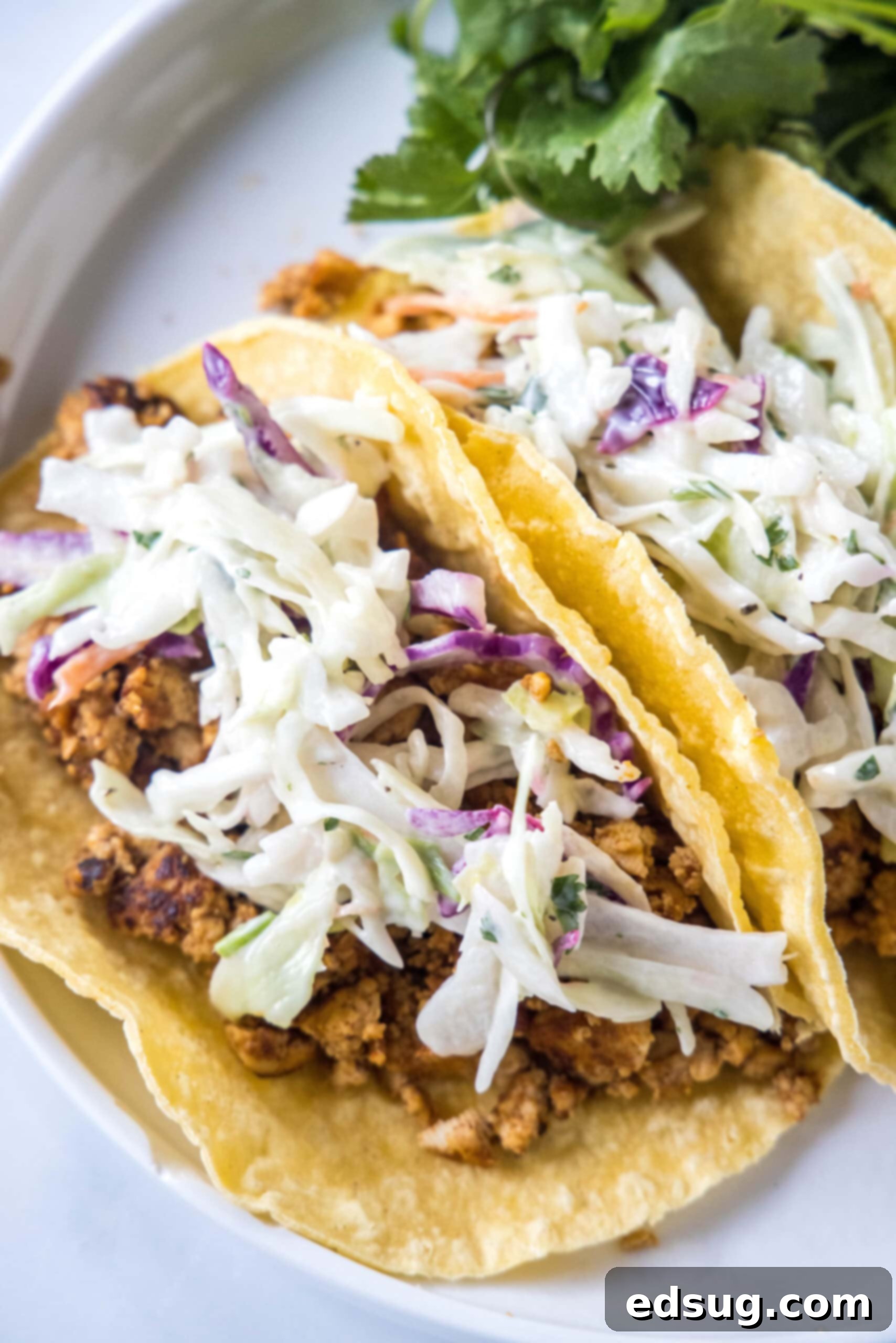 Tofu tacos are a high-protein plant-based dinner, ready in under an hour! Made with crispy tofu taco filling and creamy Mexican coleslaw. Overhead view of two tofu tacos topped with Mexican coleslaw and avocado cream on a white plate.