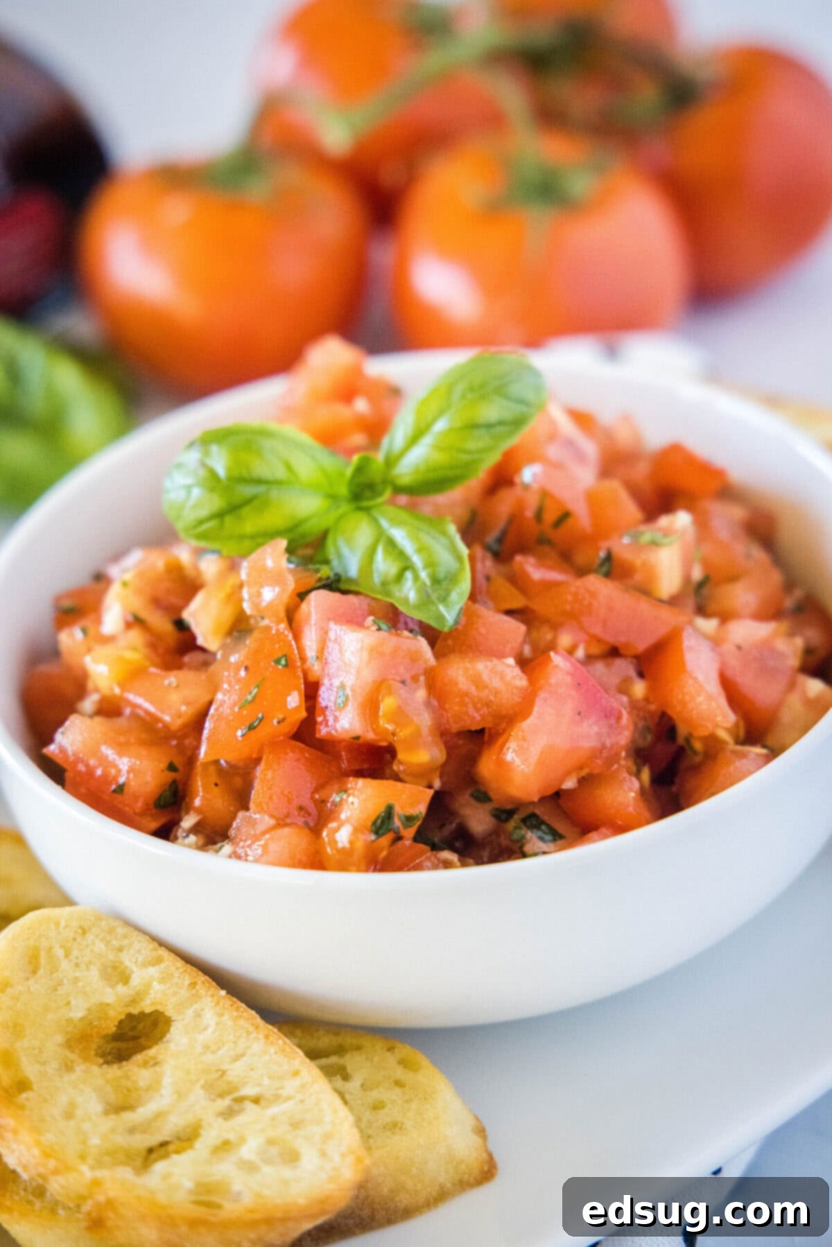 This easy bruschetta is the perfect appetizer or party food. It's loaded with tomatoes, garlic, and basil, and only takes 5 minutes. A bowl of bruschetta filling topped with basil, with bread slices in the foreground and tomatoes in the background