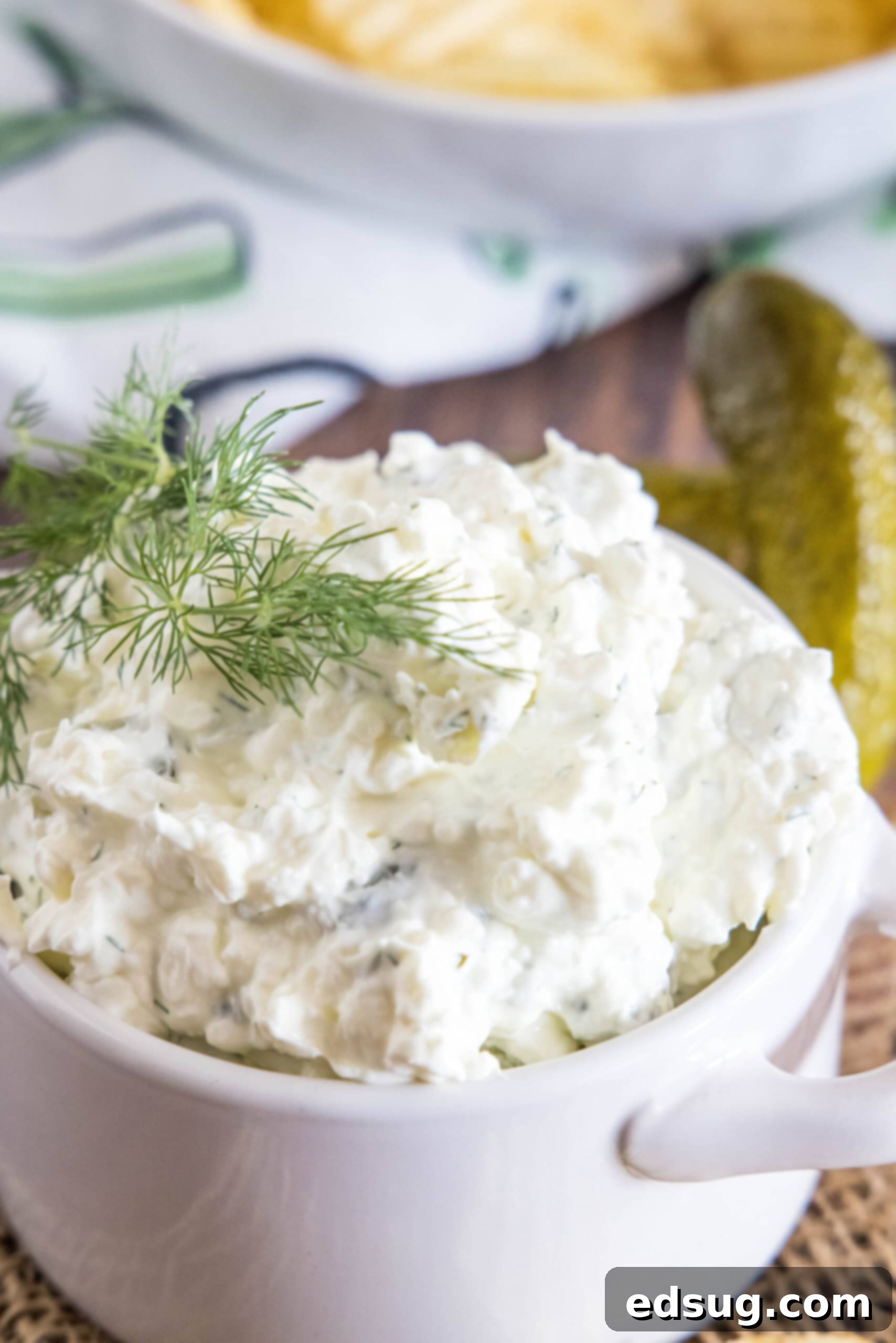 Creamy dill pickle dip is briny, cool, and crunchy. Made with 5 ingredients in minutes, it's delicious for dipping just about everything! Close-up of creamy dill pickle dip in a white serving bowl, topped with fresh dill sprigs for garnish.