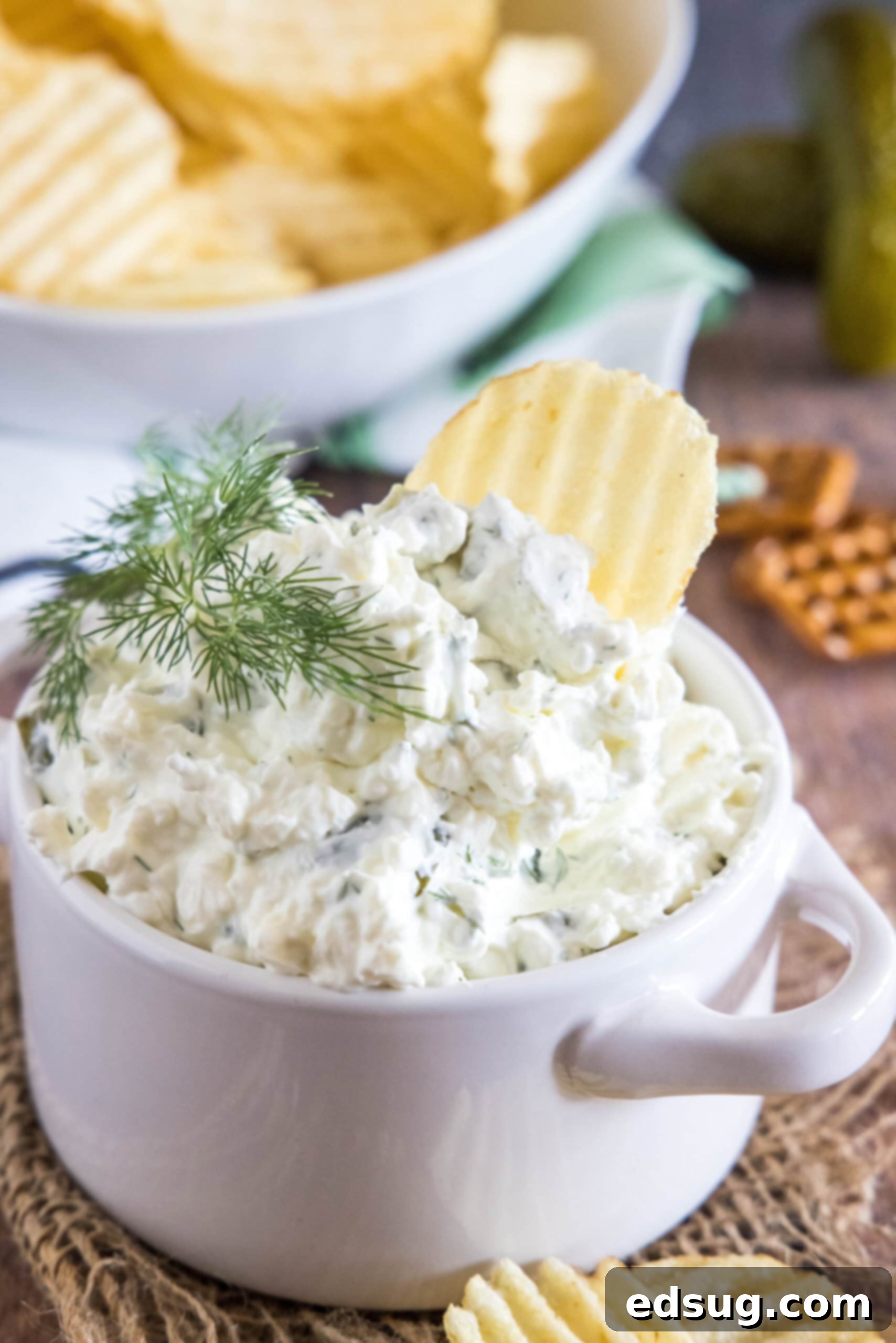 Creamy dill pickle dip is briny, cool, and crunchy. Made with 5 ingredients in minutes, it's delicious for dipping just about everything! A ruffled potato chip artfully placed into creamy dill pickle dip in a white serving dish, with a bowl of chips in the background.