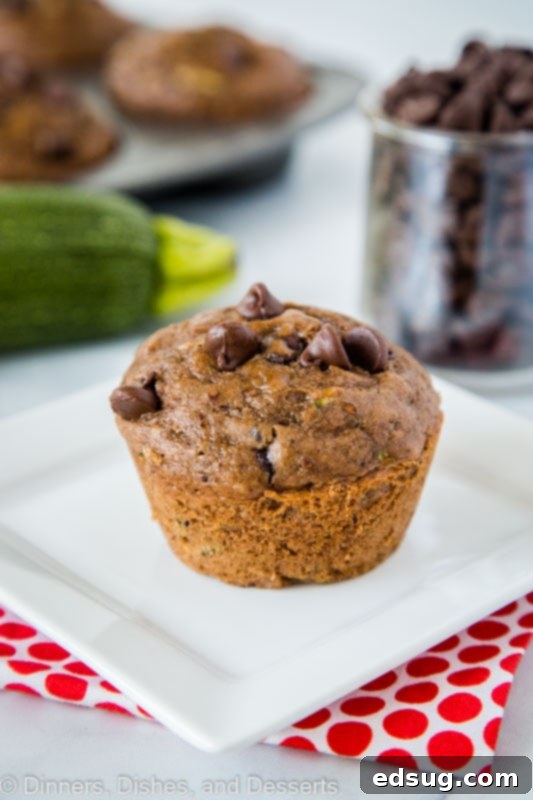 Decadent Chocolate Zucchini Muffins 3 Chocolate zucchini muffins are a great way to use up the zucchini from the garden.