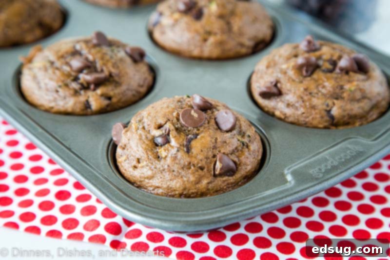 Decadent Chocolate Zucchini Muffins 5 Chocolate Zucchini Muffins - Moist and tender chocolate muffins filled with zucchini and chocolate chips. Great way to get more veggies into your family without them knowing!