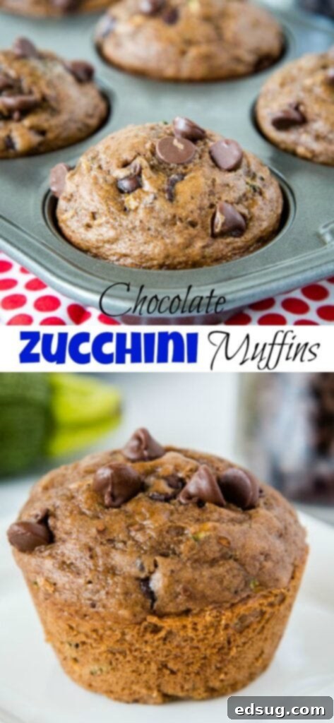 Decadent Chocolate Zucchini Muffins 6 Chocolate Zucchini Muffins - Moist and tender chocolate muffins filled with zucchini and chocolate chips. Great way to get more veggies into your family without them knowing!