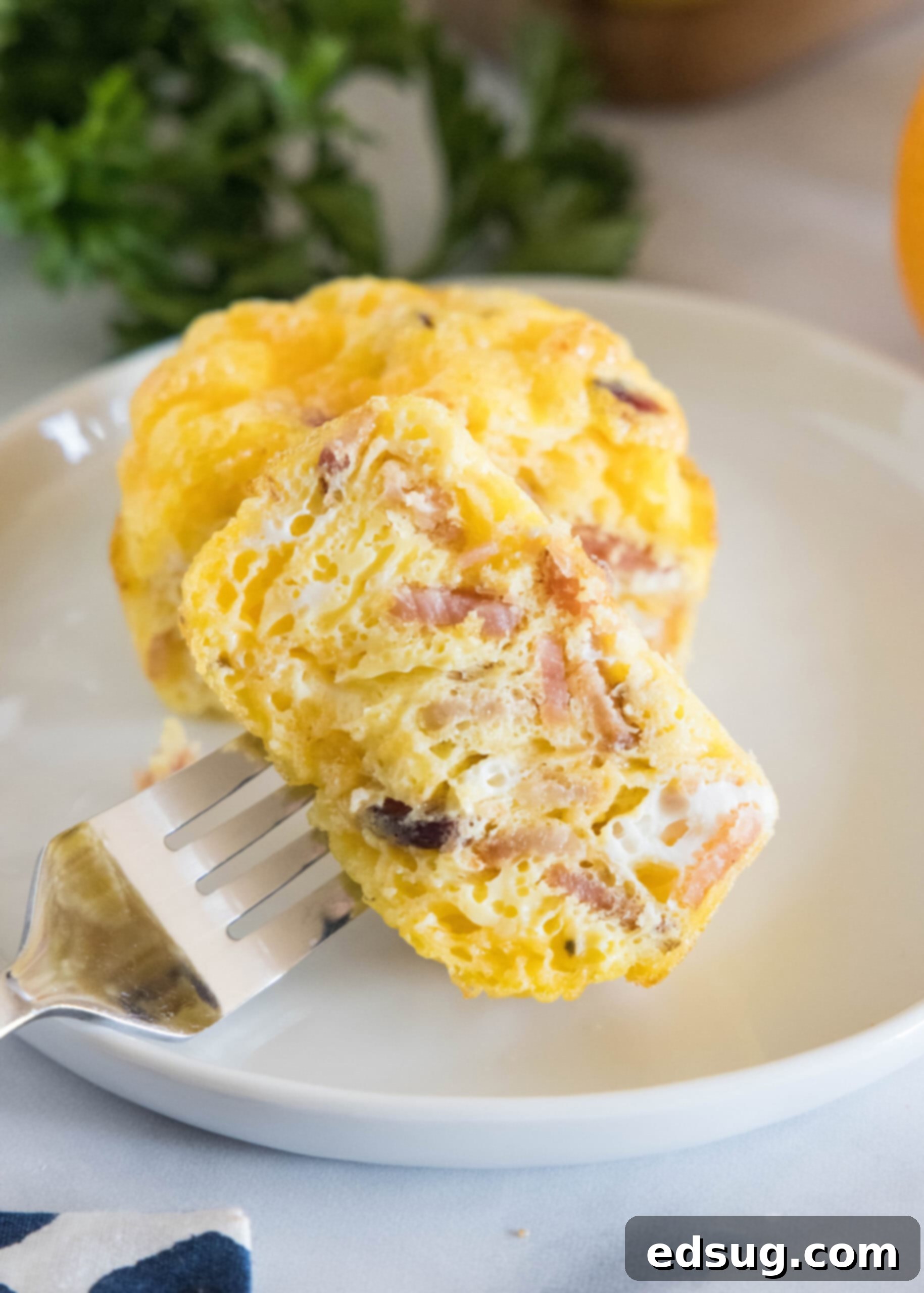 These bacon cheese egg muffins are packed with smoky crumbled bacon and melty cheddar. Enjoy these for brunch, or an easy on-the-go breakfast! A fork stuck into one half of a bacon cheese egg muffin on a white plate.
