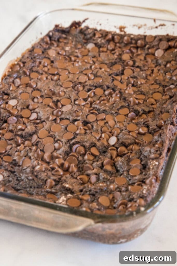Baked chocolate dump cake in a glass baking dish.