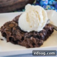 A slice of chocolate dump cake topped with a scoop of vanilla ice cream on a white plate.